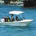 Tesoros hundidos y encuentros inesperados en el fondo del mar